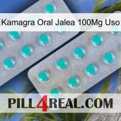 Kamagra Oral Jelly 100Mg Use 29